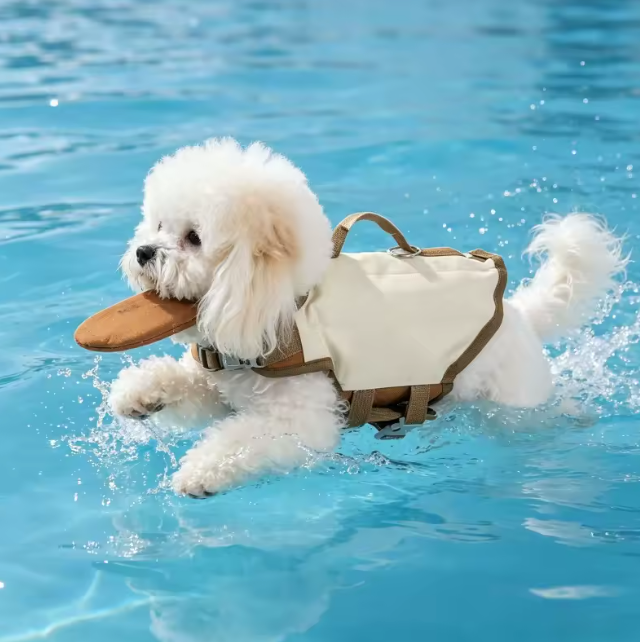 Nautical PETS