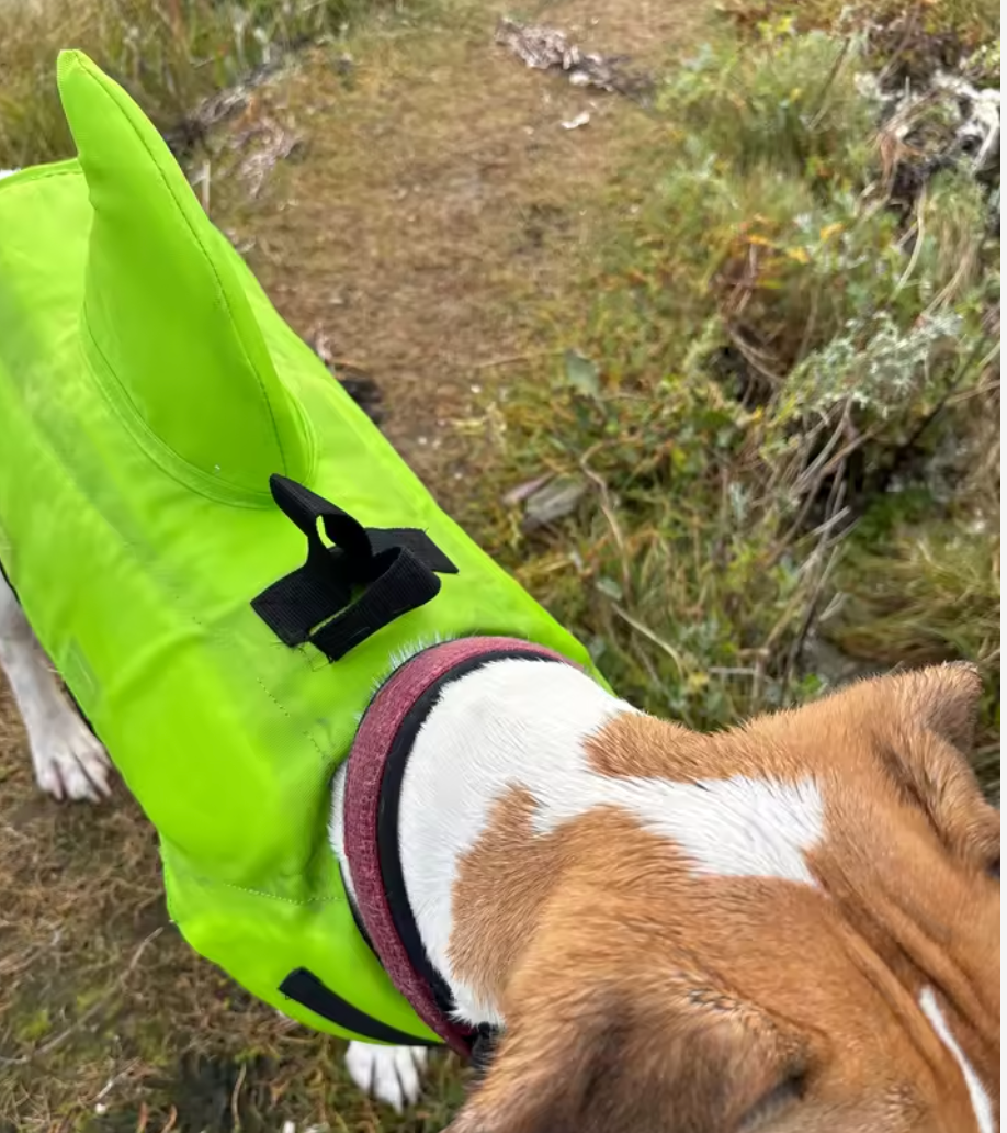 Shark Dog Life Vest — Reinforced Buoyancy Swimwear for Small Dogs, Safety Vest with Handle for Medium & Large Dogs While Surfing