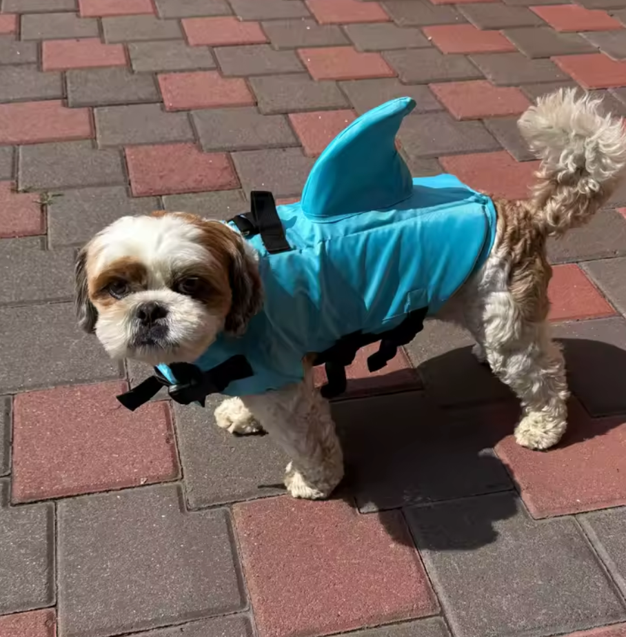 Shark Dog Life Vest — Reinforced Buoyancy Swimwear for Small Dogs, Safety Vest with Handle for Medium & Large Dogs While Surfing