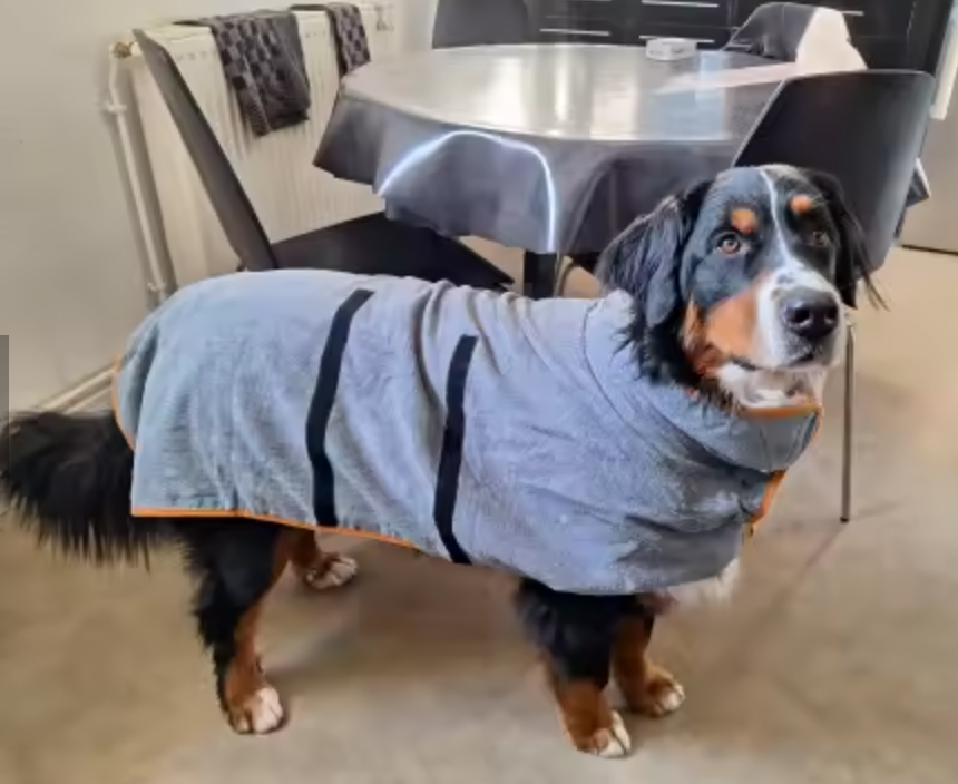 Pet Bathrobe — Highly Absorbent, Quick-Drying Dog & Cat Towel Coat with Adjustable Fit, for Small, Medium & Large Pets